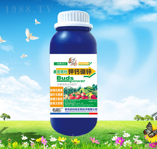 ��}���\-��Ұ�r(n��ng)��