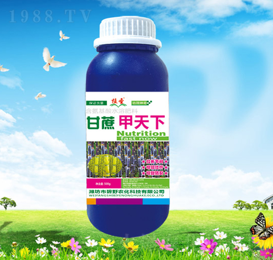 ���������-ֲʥ-��Ұ�r(n��ng)��