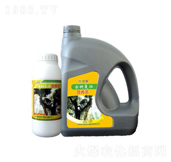 �Ř�͉ѠI�B(y��ng)�`-����-�ƺ�(li��n)��