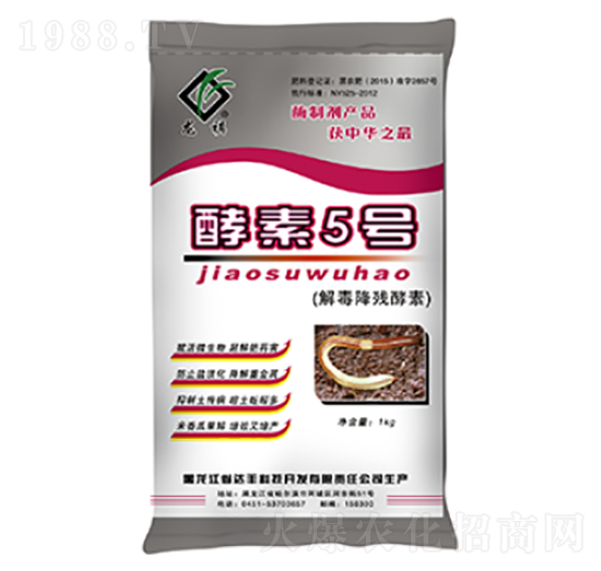 �ⶾ��������-����5̖-�_(d��)�S