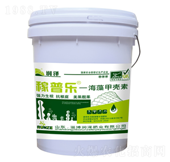 ����ך���-���՘�-���ɷʘI(y��)