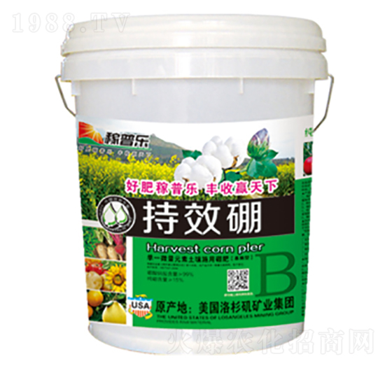 ��Ч���w����-���՘�(l��)-��(r��n)�ɷʘI(y��)