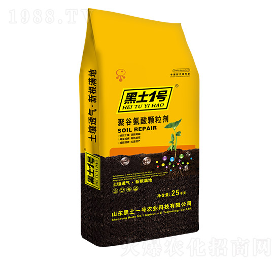 �۹Ȱ����w����-����1̖