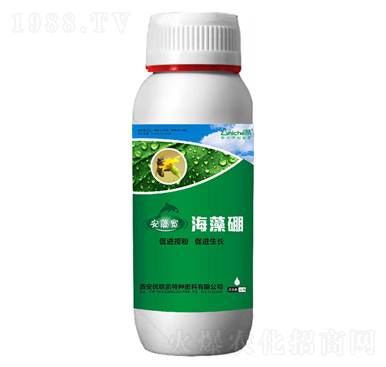 ������-��(y��u)(li��n)�P