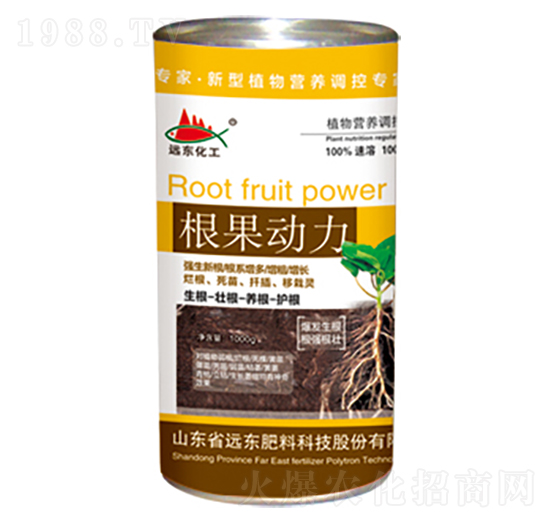 ������(d��ng)��-�h(yu��n)�|����