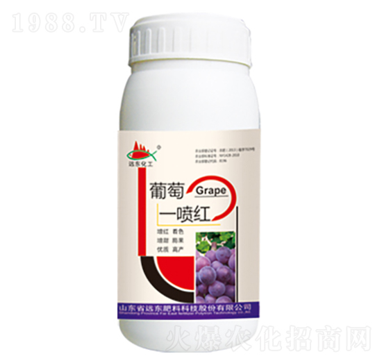 ����һ���t-�h�|����