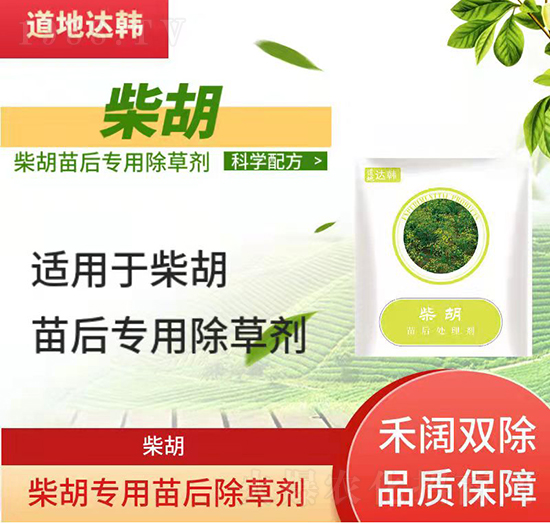 ������݄�-������-�����(zhu��n)��-���n