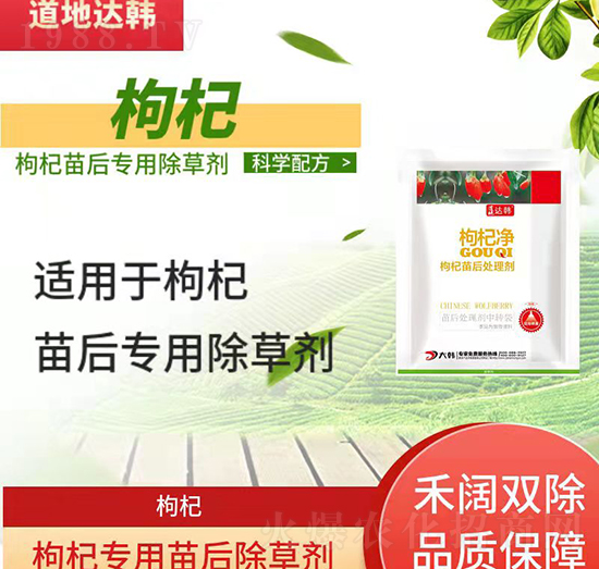 ��轳��݄�-������-��轌���-���n