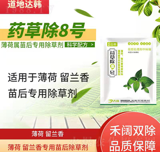 �������m����݄�-�������m�����-�������m�㌣��-ˎ�ݳ�8̖-���n