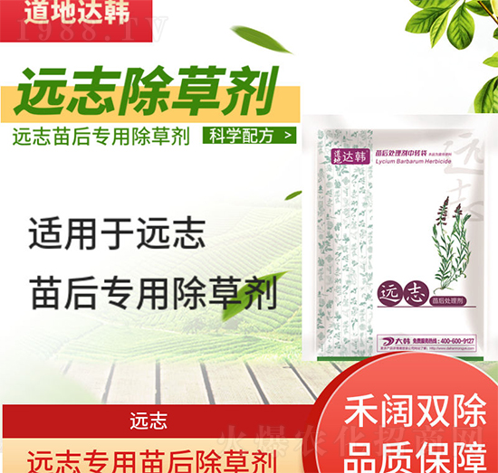 �h(yu��n)־�ݳ��݄�-�h(yu��n)־���-�h(yu��n)־����-���n