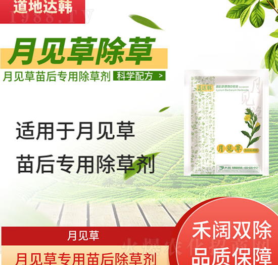 ��Ҋ(ji��n)�ݳ��݄�-��Ҋ(ji��n)�����-��Ҋ(ji��n)�݌�(zhu��n)��-���n