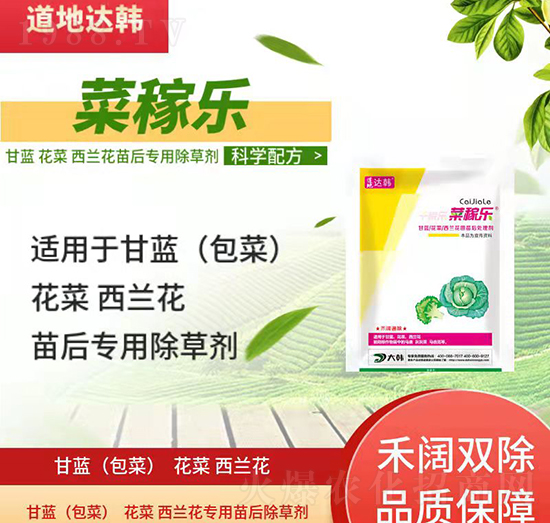 ���{(l��n)�������{(l��n)�����݄�-���{(l��n)�������{(l��n)�����-���{(l��n)�������{(l��n)������-���n