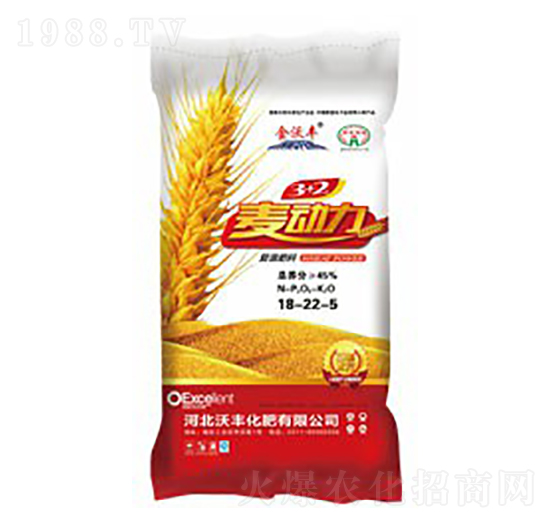 ��(f��)�����18-22-5-������-���S����