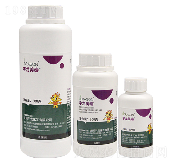 ������̩�M��-��������