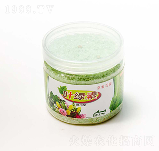 ���܌��÷�-�~�G��-���rʢԴ