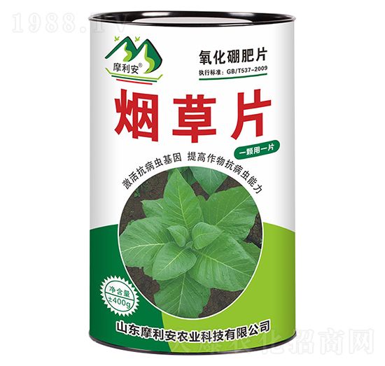 ����Ƭ-Ħ����