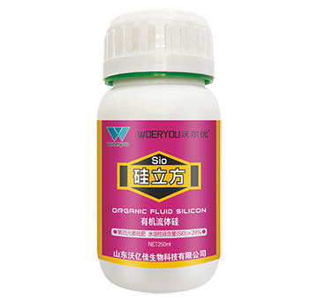 �ЙC���w��-������-�֠���(y��u)