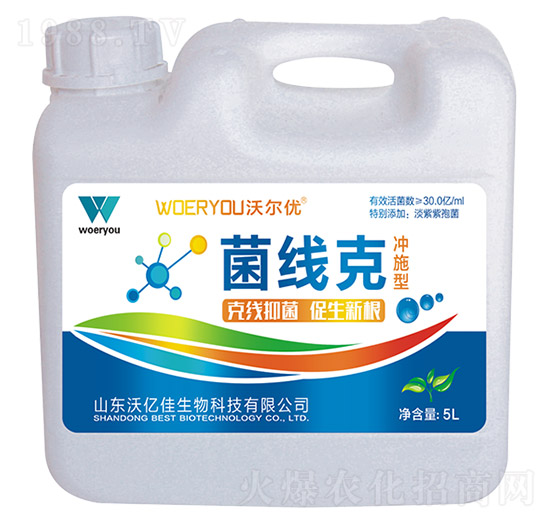 ������-�֠���(y��u)