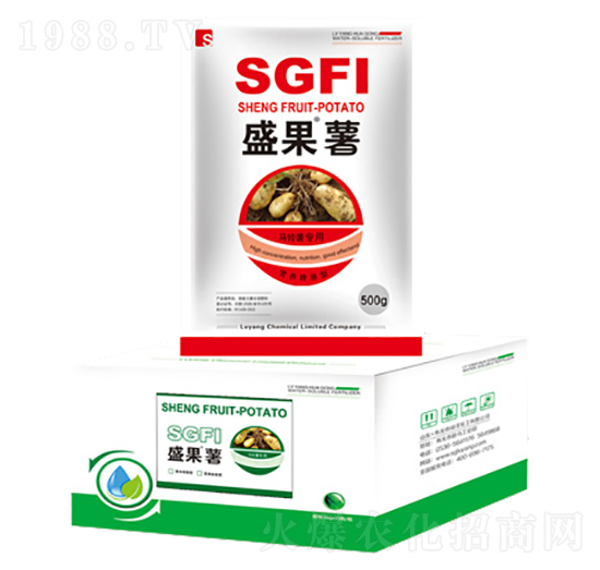 ʢ����-�G��