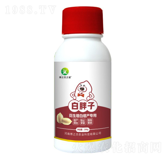 �����������a(ch��n)�����~���-������-�S�՘�