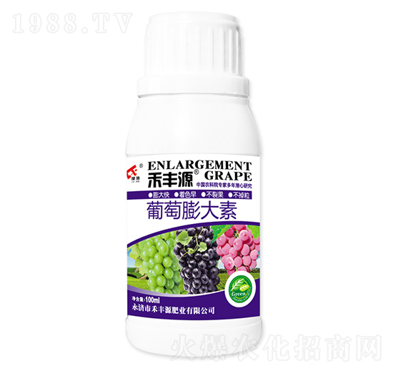 ���������-���SԴ�ʘI(y��)