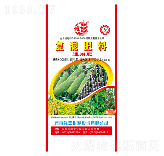 ������͏ͻ����11-8-6-���S