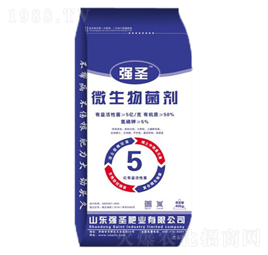 5�|΢�������-��(qi��ng)ʥ