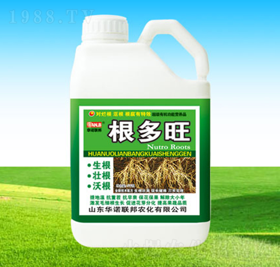 ������-�A�Z(li��n)��