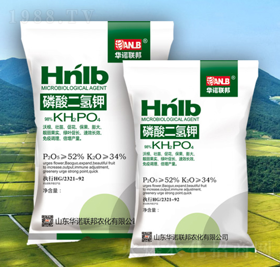 ���������~���-�A�Z(li��n)��