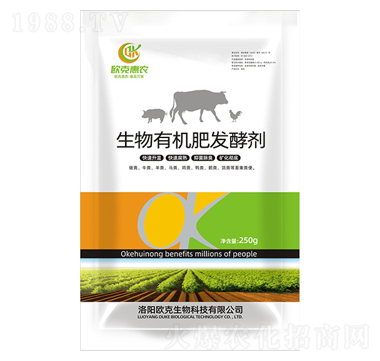 �����ЙC�ʰl(f��)�̈́�-�W�˻��r-�W������