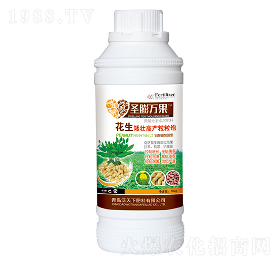 �������Ѹ߮a(ch��n)�����-ʥ���f��-������