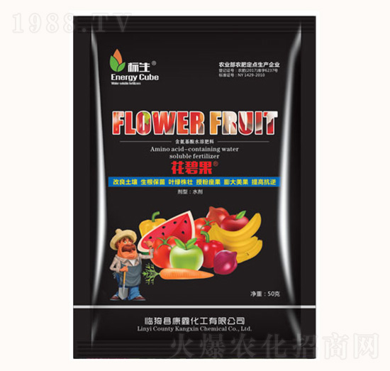 ���̹�-���λ���