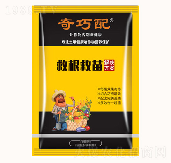 �ȸ�����-������-���λ���