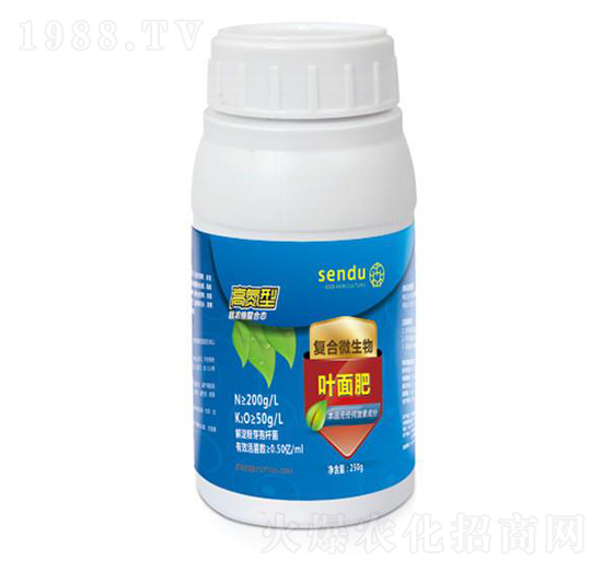 �ߵ��͏�(f��)��΢�����~���-ɭ��