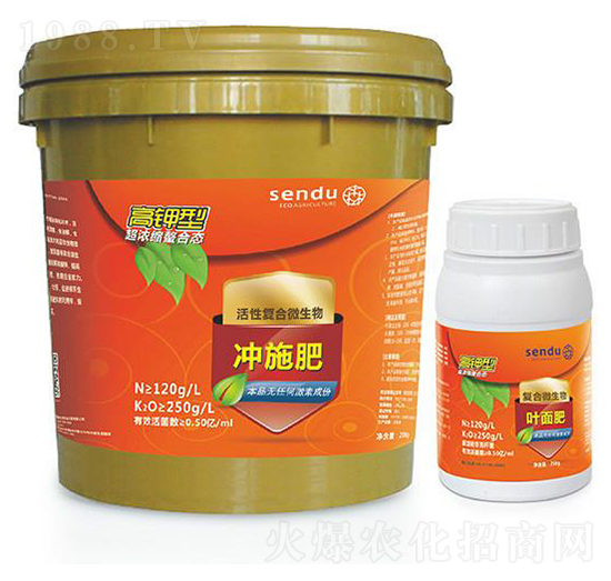 ����͏�(f��)��΢�����-ɭ��