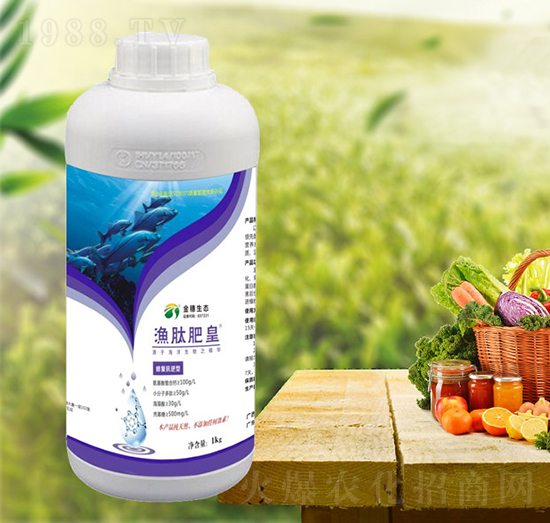 �����͝O�ķʻ�-���T�r�I(y��)