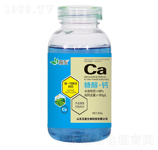 �Ǵ����}-ؐ������