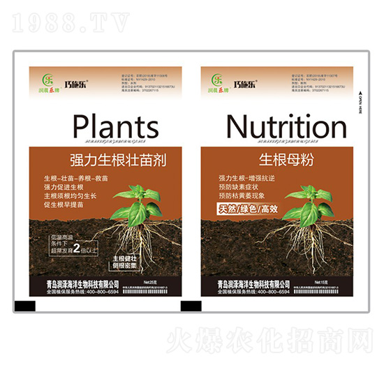 ��(qi��ng)���������焩+����ĸ��-ؐ������