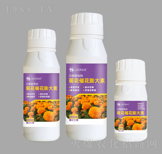 �ջ��߻�����أ��f�۾Ռ��ã�-�R�����W(xu��)