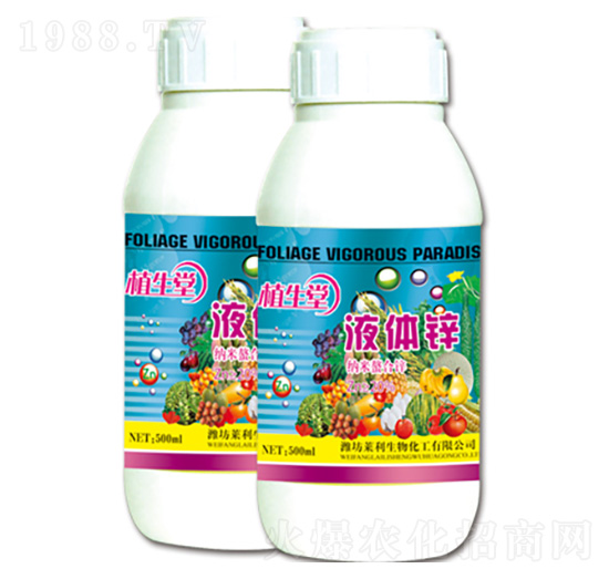 ���w�\ ֲ���� �R������