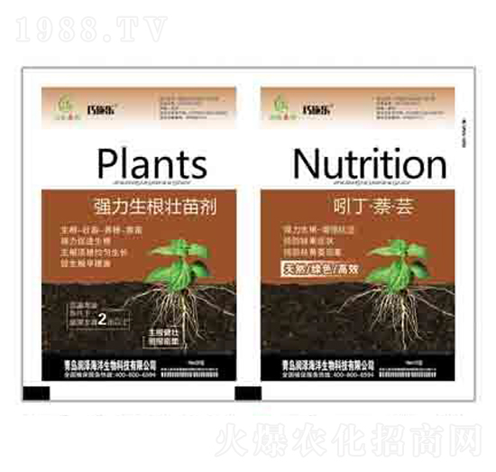 �����������焩+�Ŷ��������| ����