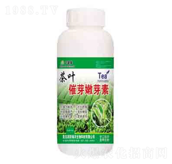 ���~��ѿ��ѿ�� ����