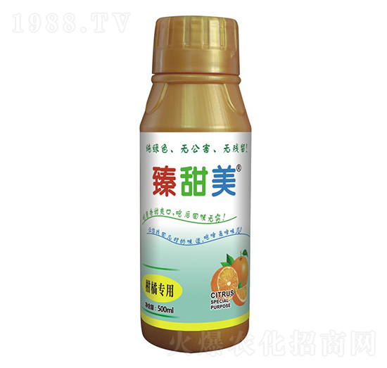 ���ٌ�(zhu��n)�� ������ ʢ����