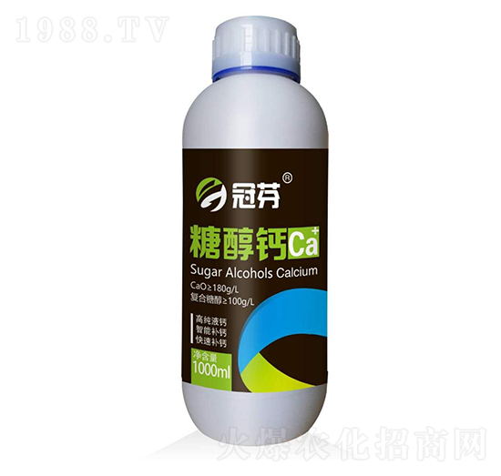 �Ǵ��} �ڷ�