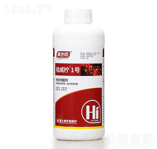 ΢������� ������1̖(h��o) Ħ�؎�