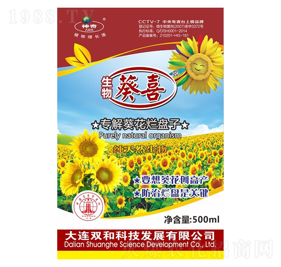 ����������P(p��n)�� �����ϲ �p�ͿƼ�