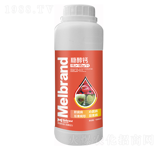 1000ml�Ǵ��} ����(l��)��