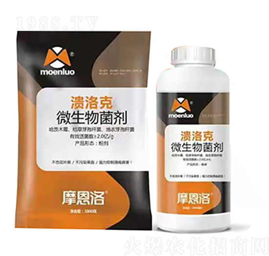 ΢������� ����� Ħ����