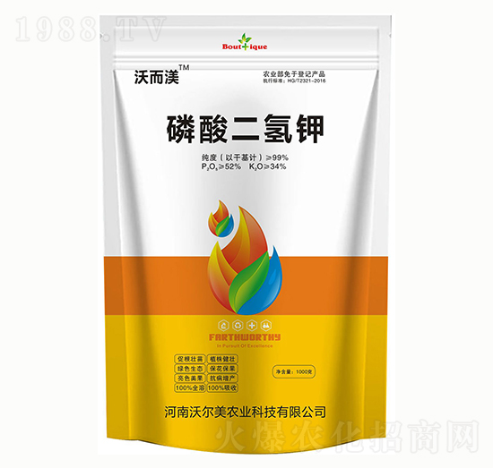 1000g�������� �֠���