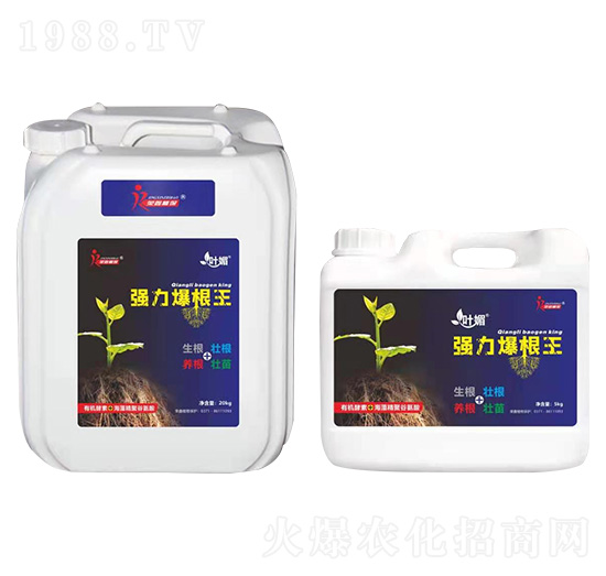 ����������-�~��-�s��ֲ��